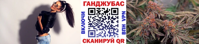 Бошки марихуана марихуана  Купить закладки  Тихорецк 